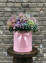 Цветочная композиция из Гипсофила и Розы в шляпной коробке в Горняцком