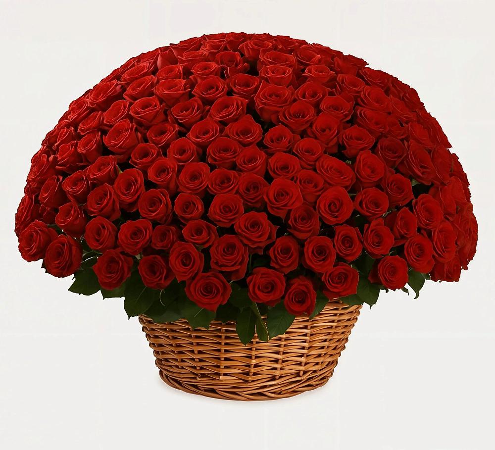 Премиум букет из: Розы в Горняцком