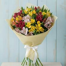 Букет цветов из:  Альстромерии #REPLACE_PRED# Горняцком