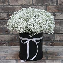 Цветочная композиция из Гипсофила в шляпной коробке в Горняцком