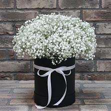 Цветочная композиция из Гипсофила в шляпной коробке в Горняцком